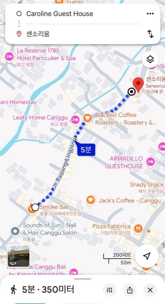 케롤라인 게스트 하우스 센소리움 거리 정보