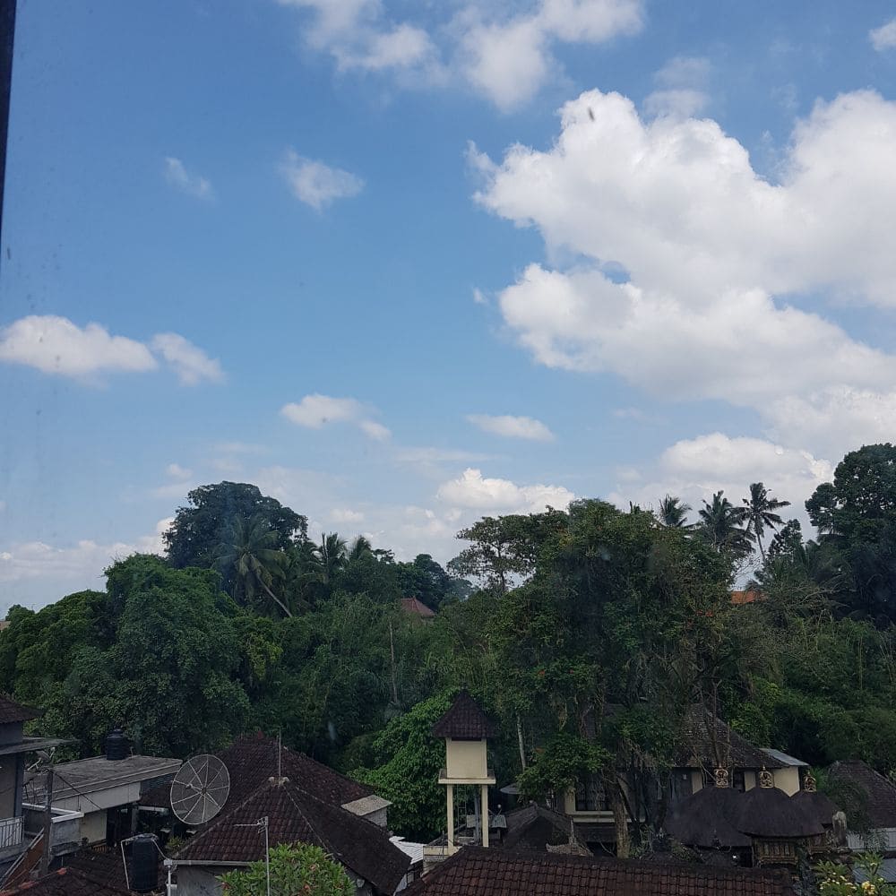 bali-scenary-image