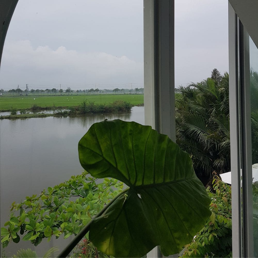 다낭 호이안 카페 추천 - MISS HOI AN 카페 논 뷰