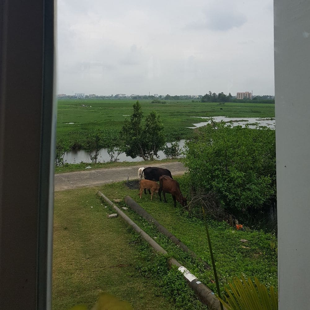 다낭 호이안 카페 추천 - MISS HOI AN 카페 논 뷰
