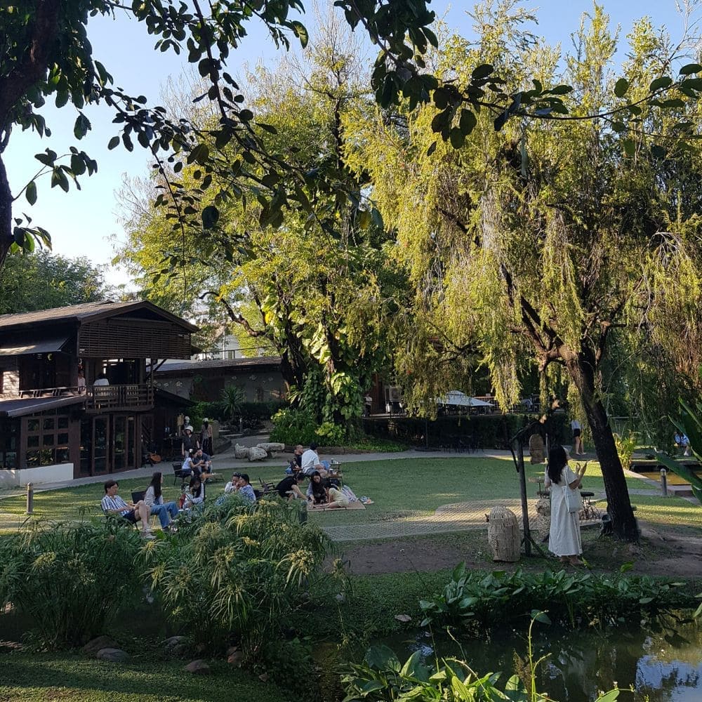 chiang-mai-travel-complete-guide 치앙마이 여행 총정리 가이드 - 치앙마이 카페 풍경